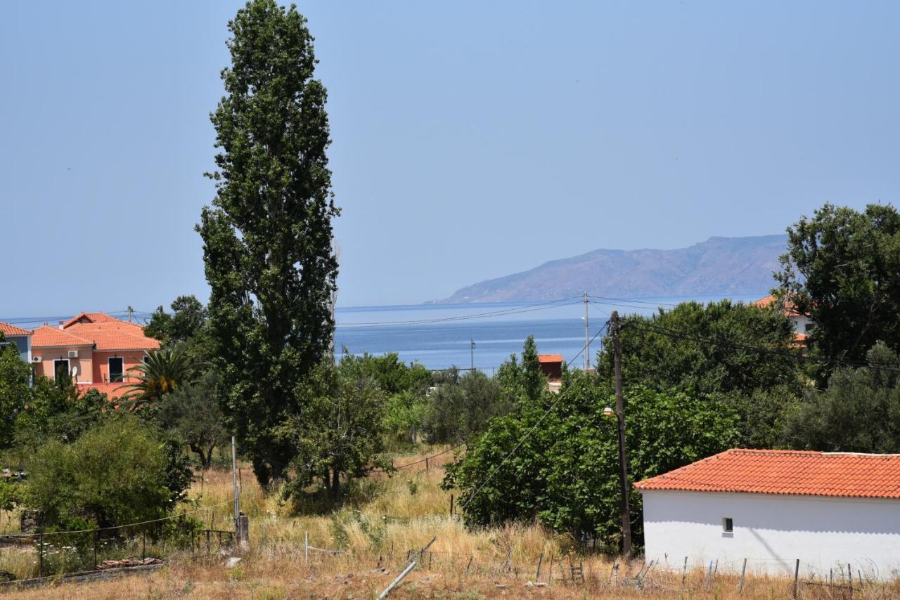 Shining Star Petra Aparthotel Εξωτερικό φωτογραφία